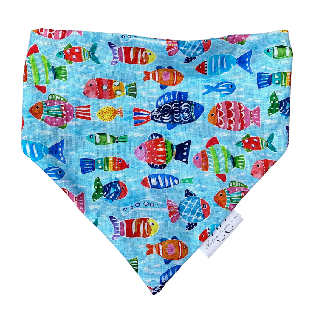 Abstract Fish Scrunchie Dog Bandana