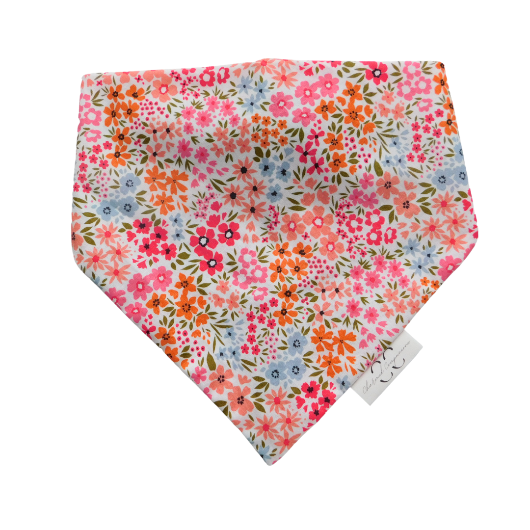 Pop Of Color Dog Bandana