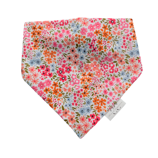 Pop Of Color Dog Bandana