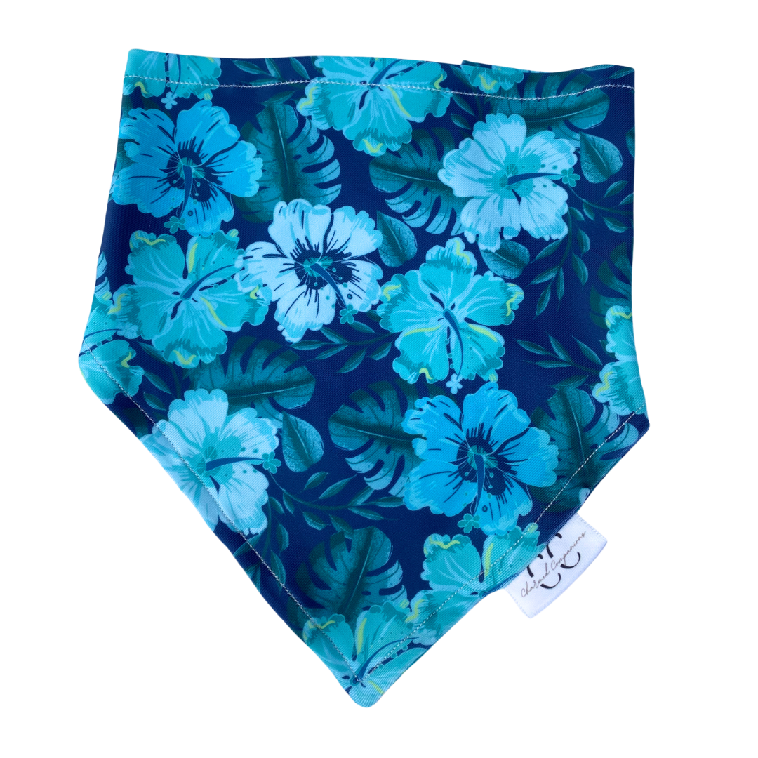 Aloha Swimdana