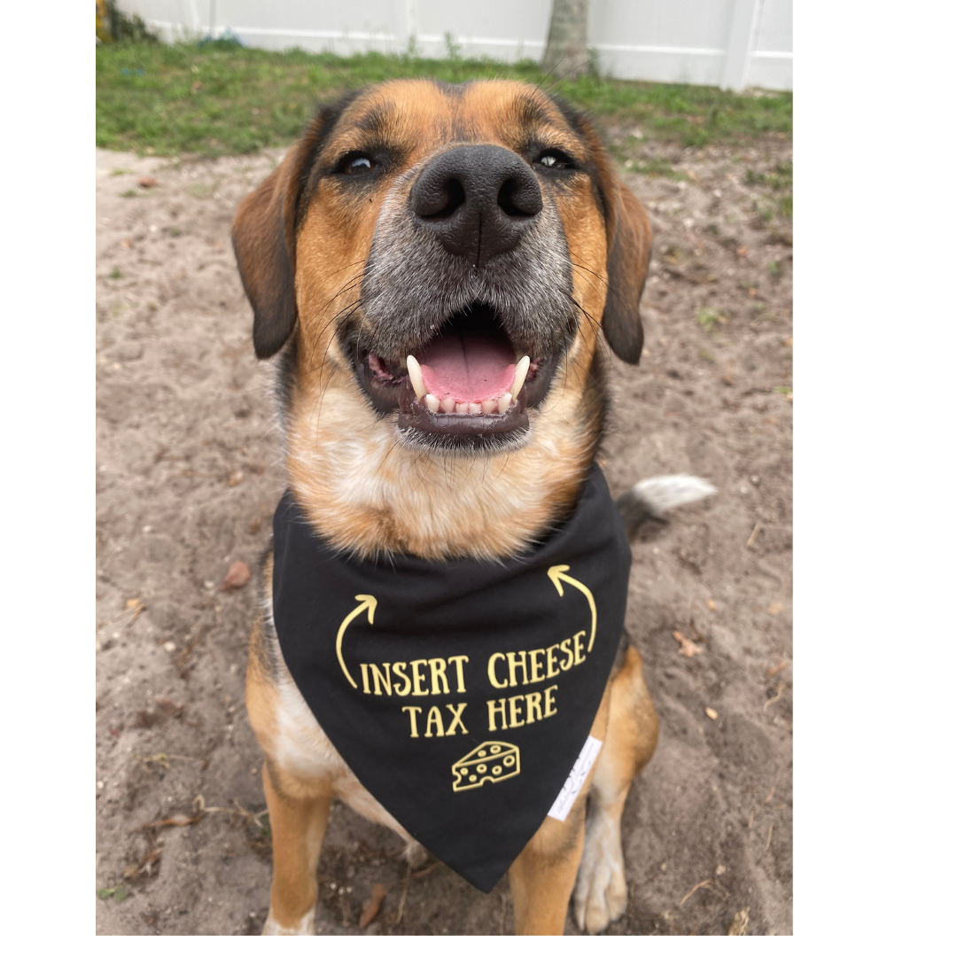 Insert Cheese Tax Here Dog Bandana