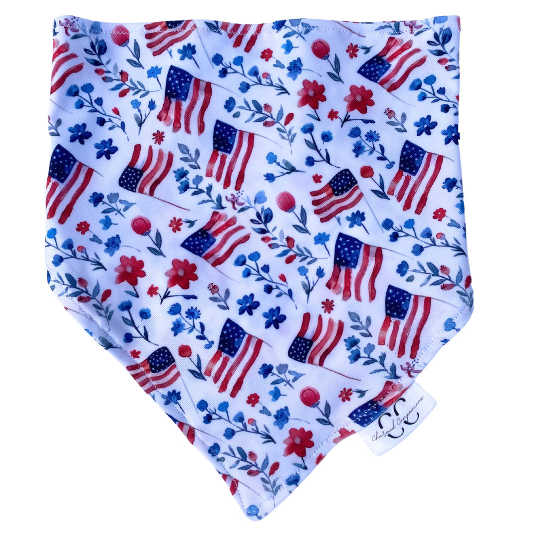 Americana Swimdana