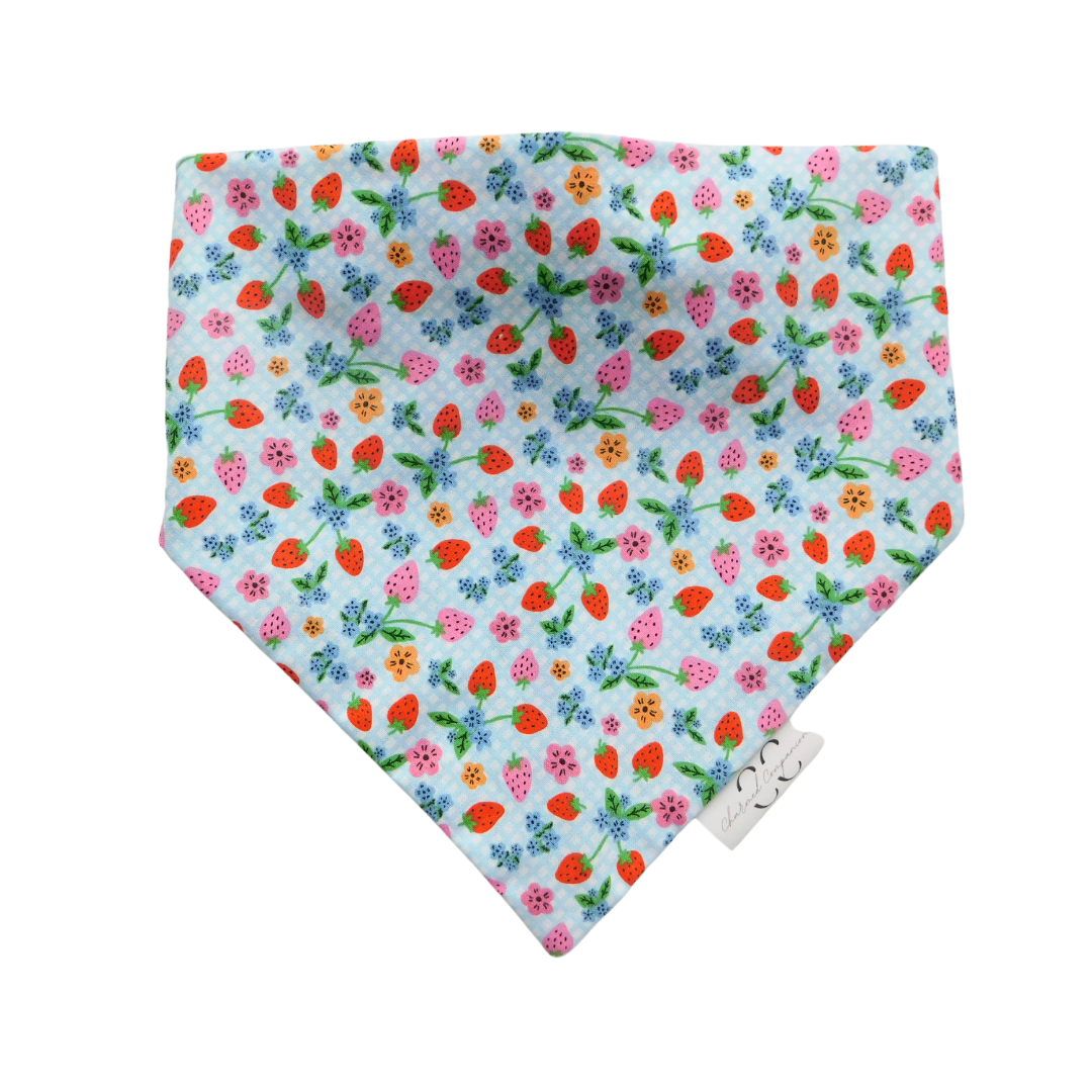 Berry Cute Dog Bandana