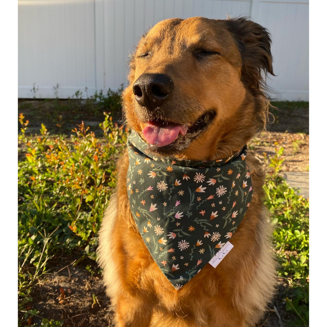 Enchanted Scrunchie Dog Bandana