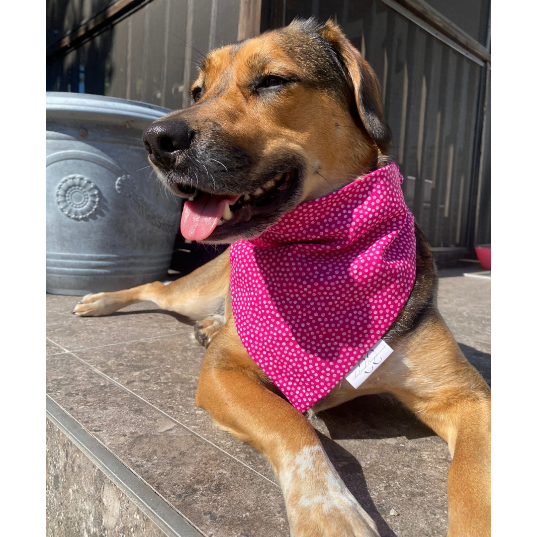 Hot Pink Dots Scrunchie Dog Bandana
