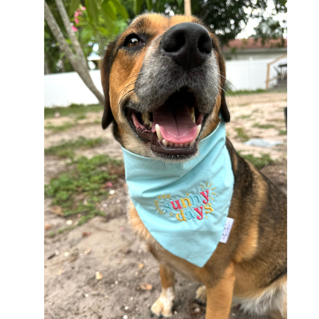 Made for Sunny Days Embroidered Dog Bandana