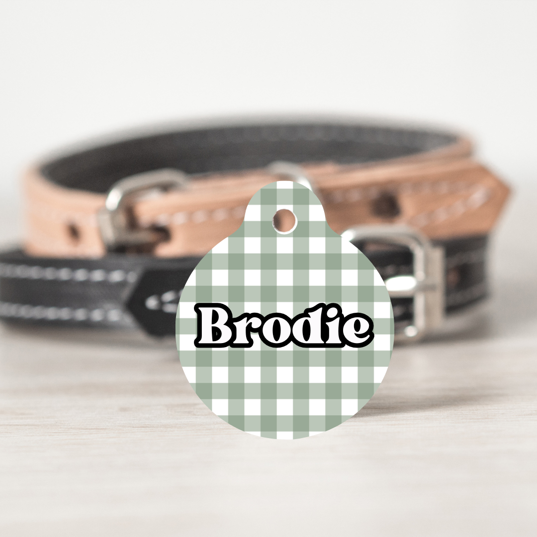 Sage Gingham QR Code Pet ID Tag