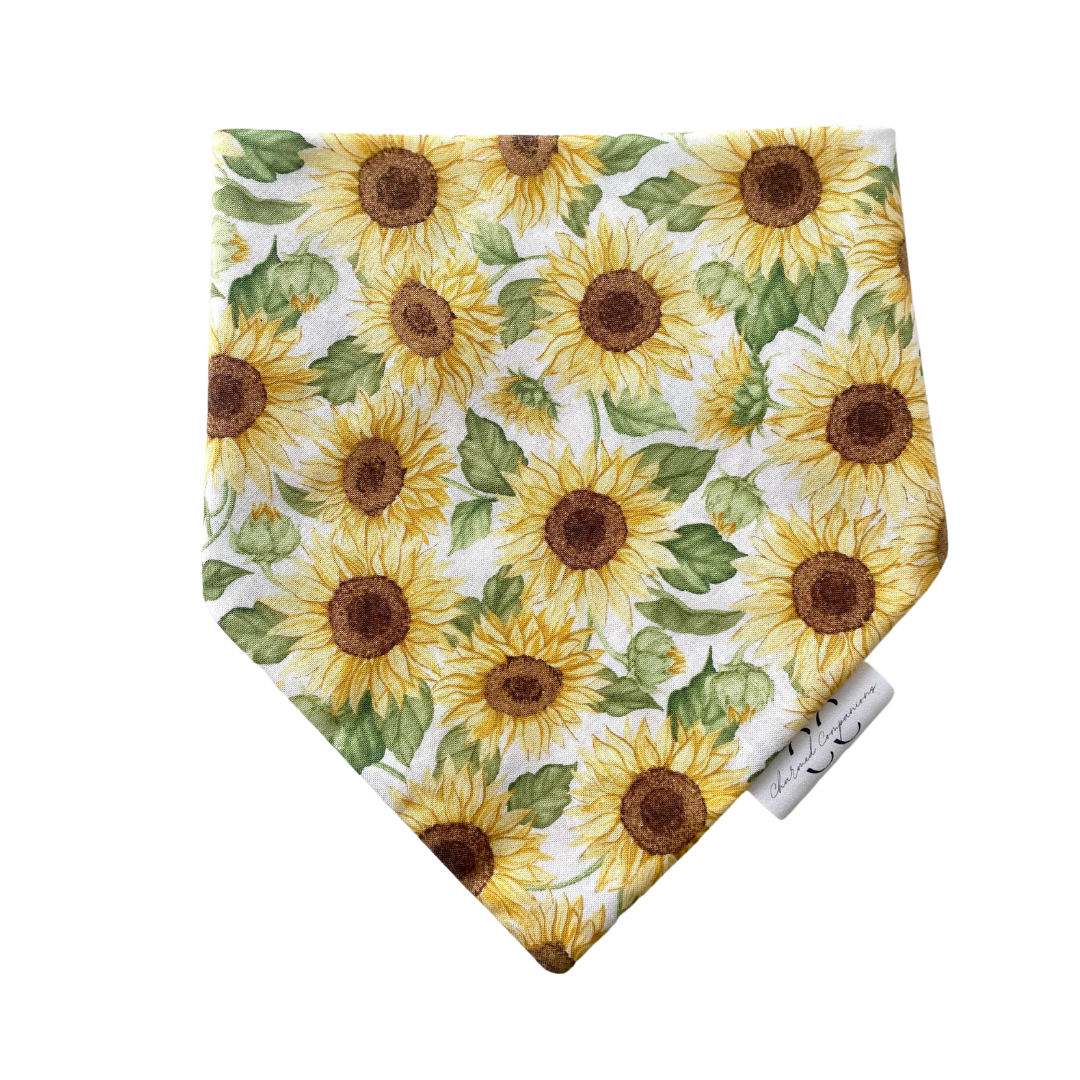 Summer Sunflower Dog Bandana