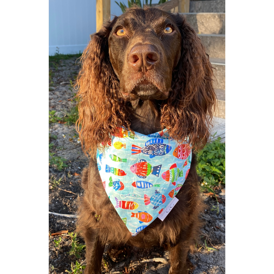Abstract Fish Scrunchie Dog Bandana