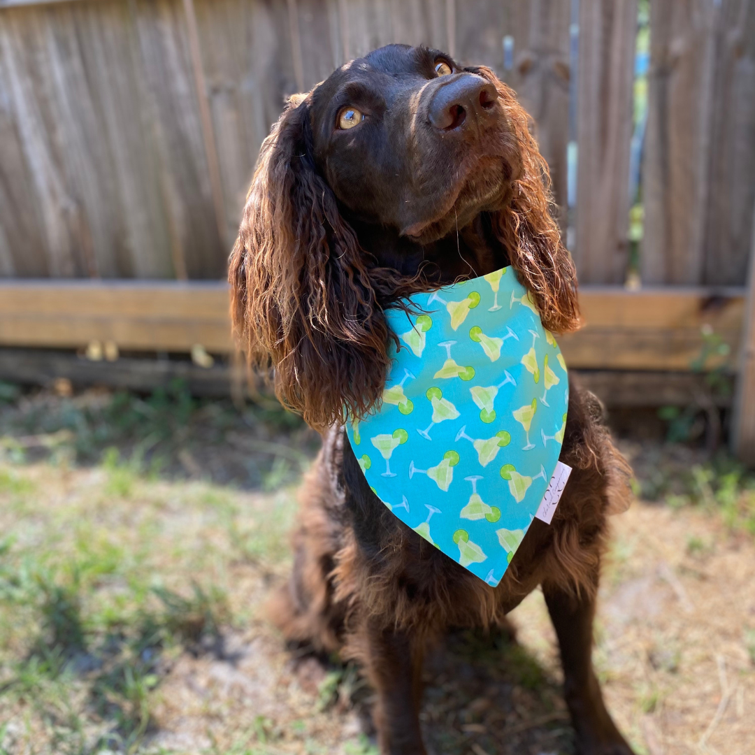 Margarita Dog Bandana
