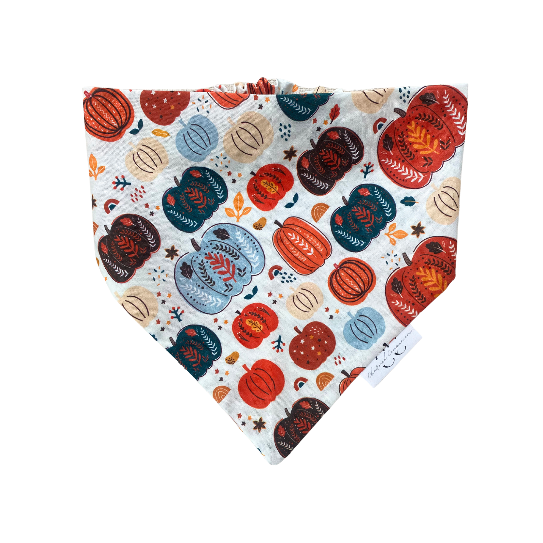 Harvest Pumpkin Dog Bandana