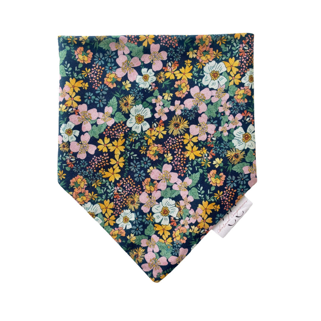Pop of Color Dog Bandana