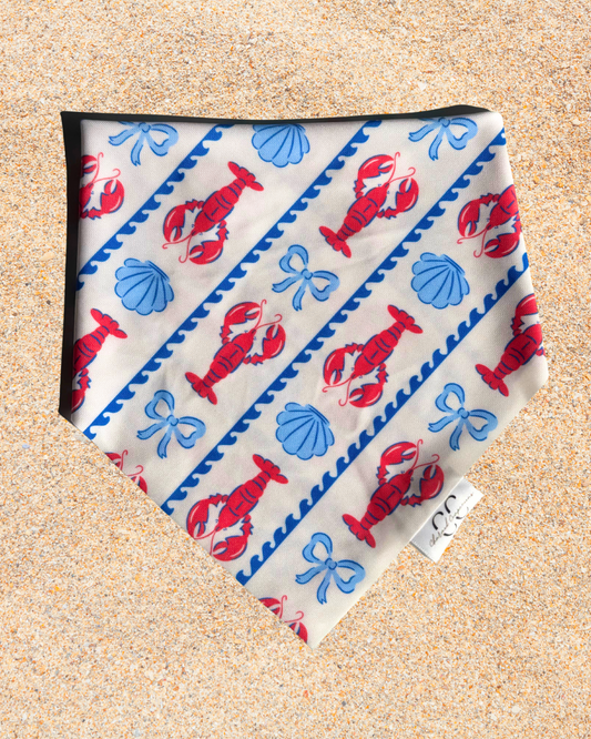 Coastal Catch Scrunchie Dog Swimdana