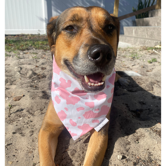 Pink Sparkle Cow Dog Bandana