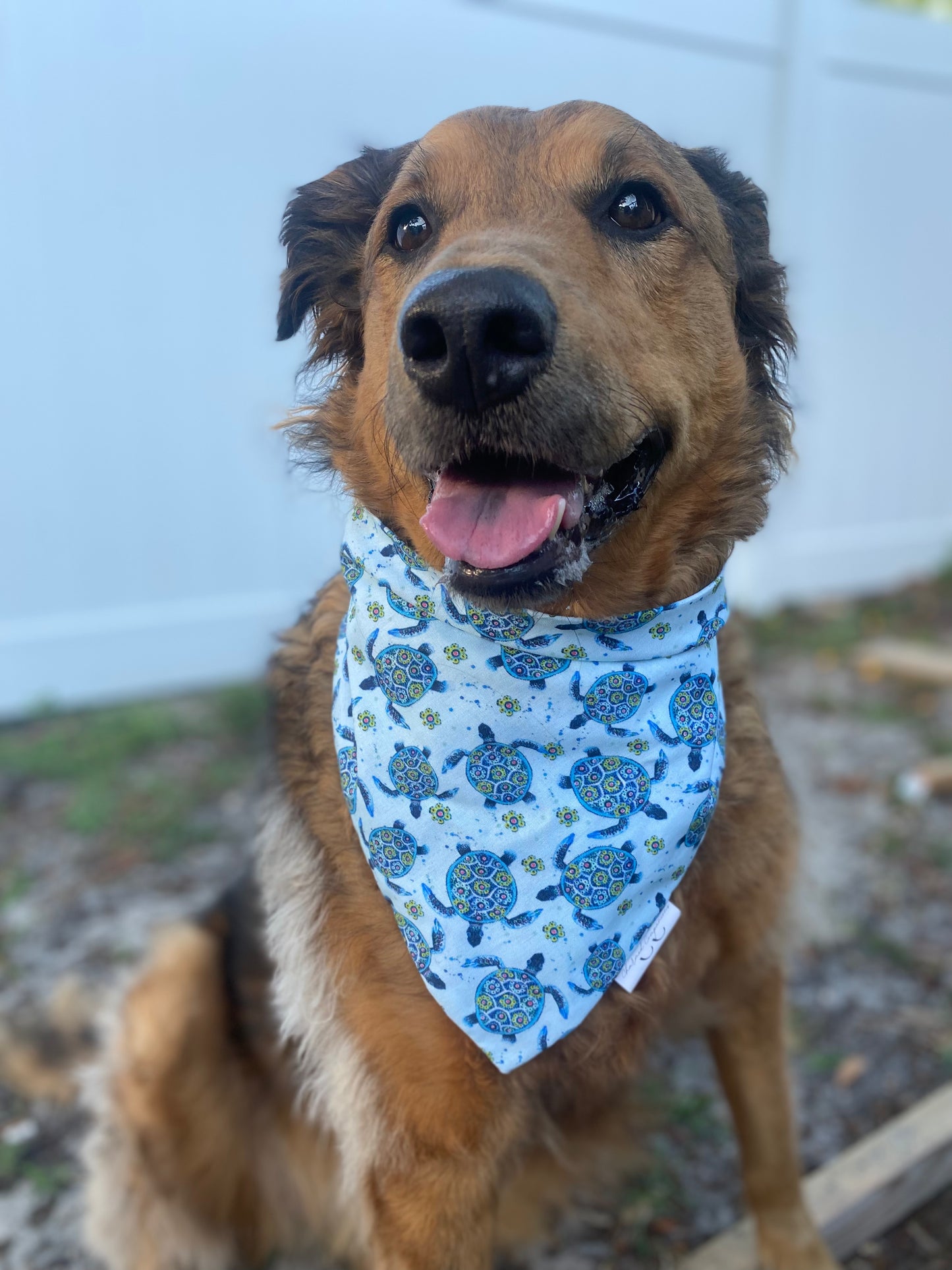 Blue Sea Turtle Dog Bandana