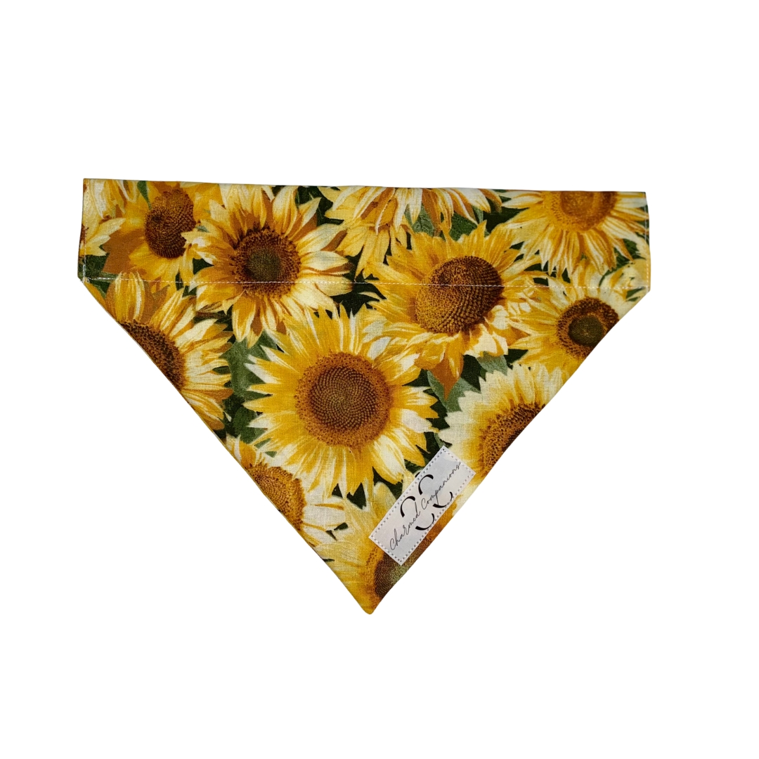Sunny Days Bandana