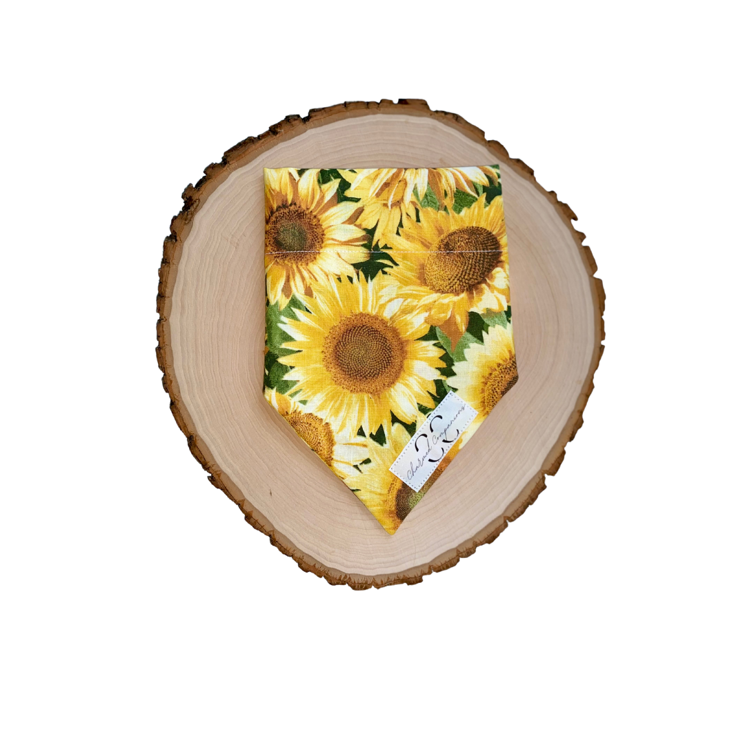 Sunny Days Bandana