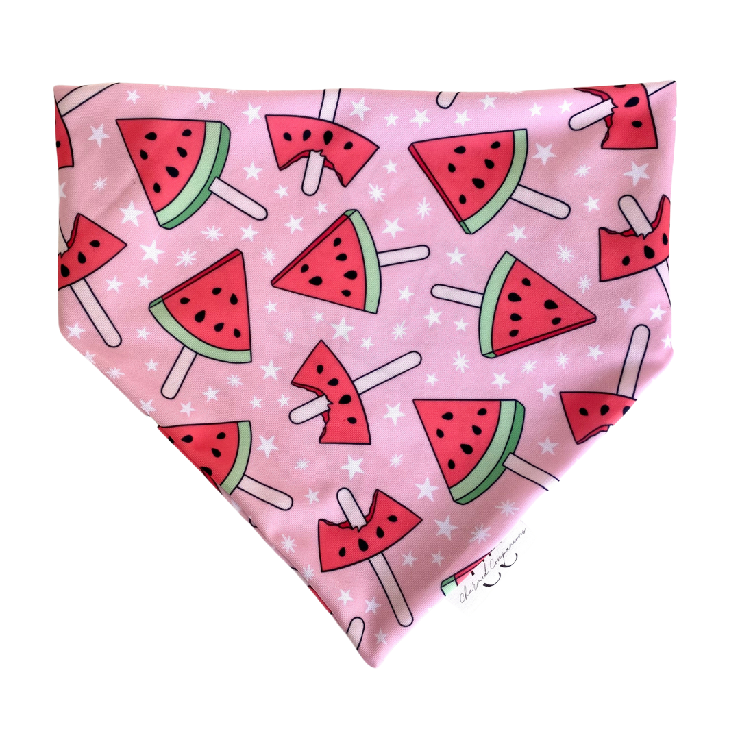 Watermelon Pop Swimdana