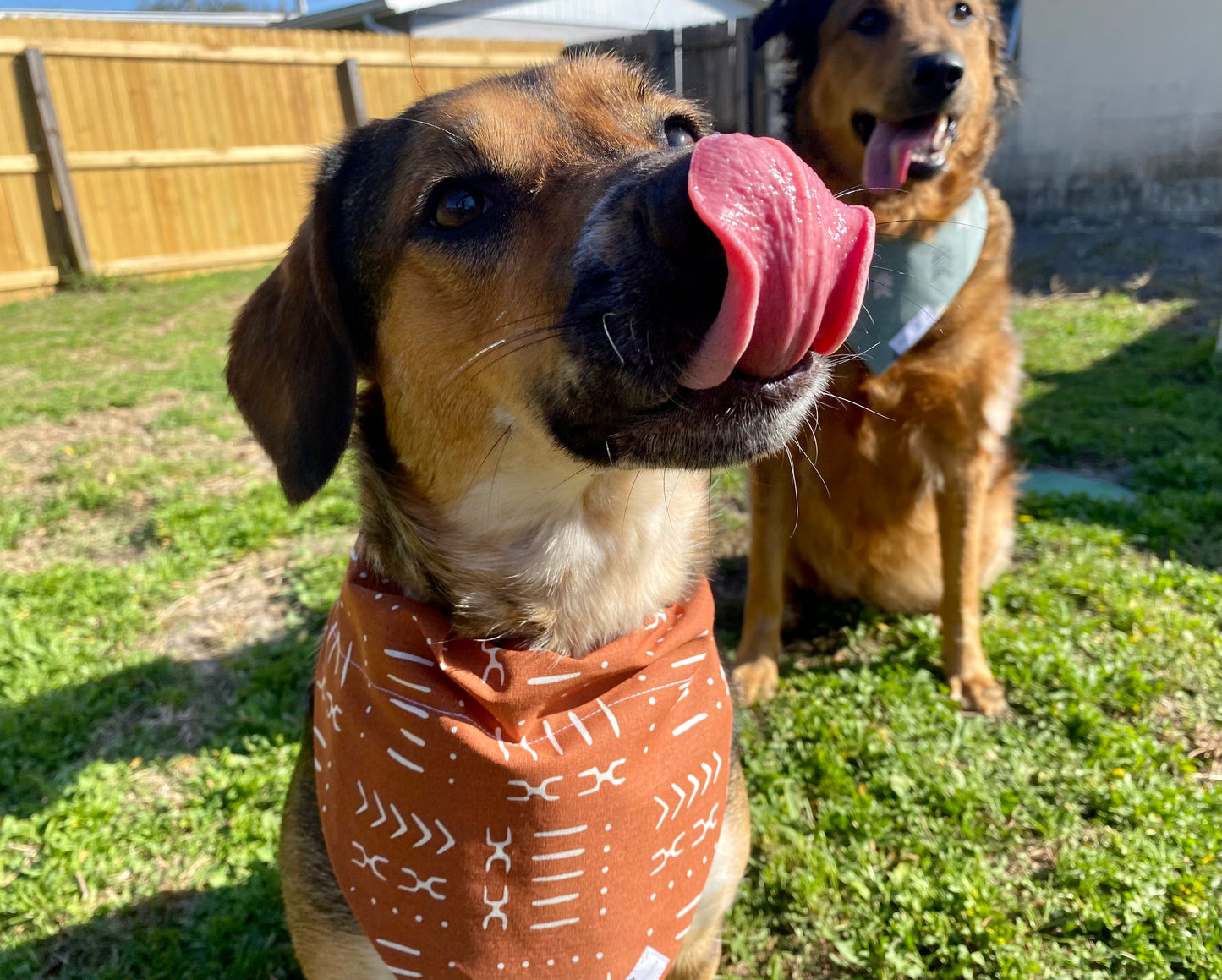 Rustic Roots Dog Bandana