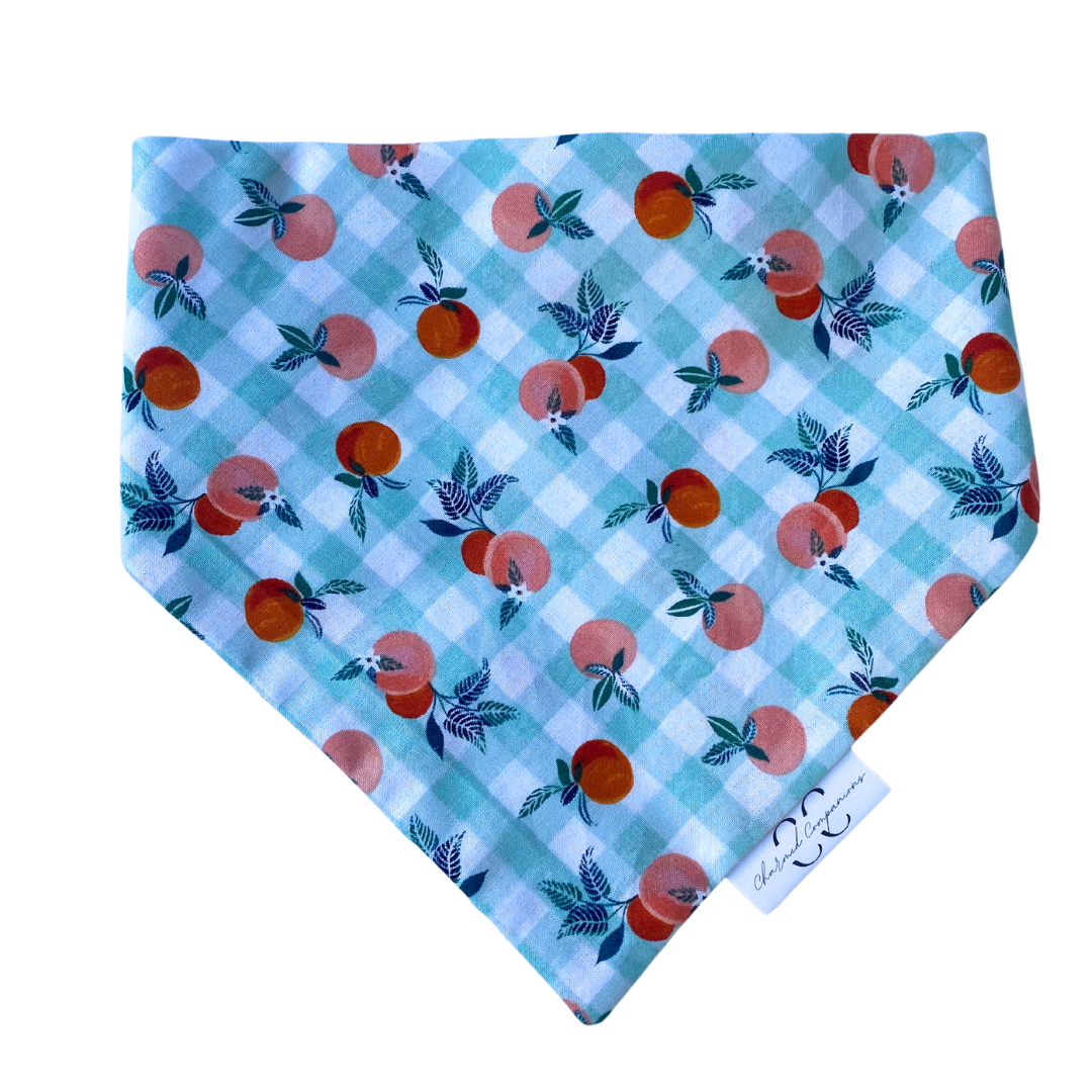 Peaches on Gingham Dog Bandana