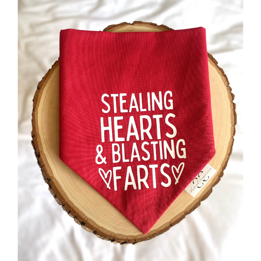 Stealing Hearts and Blasting Farts Valentine's Dog Bandana