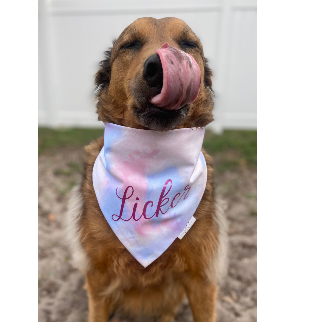 Licker Swiftie Themed Dog Bandana