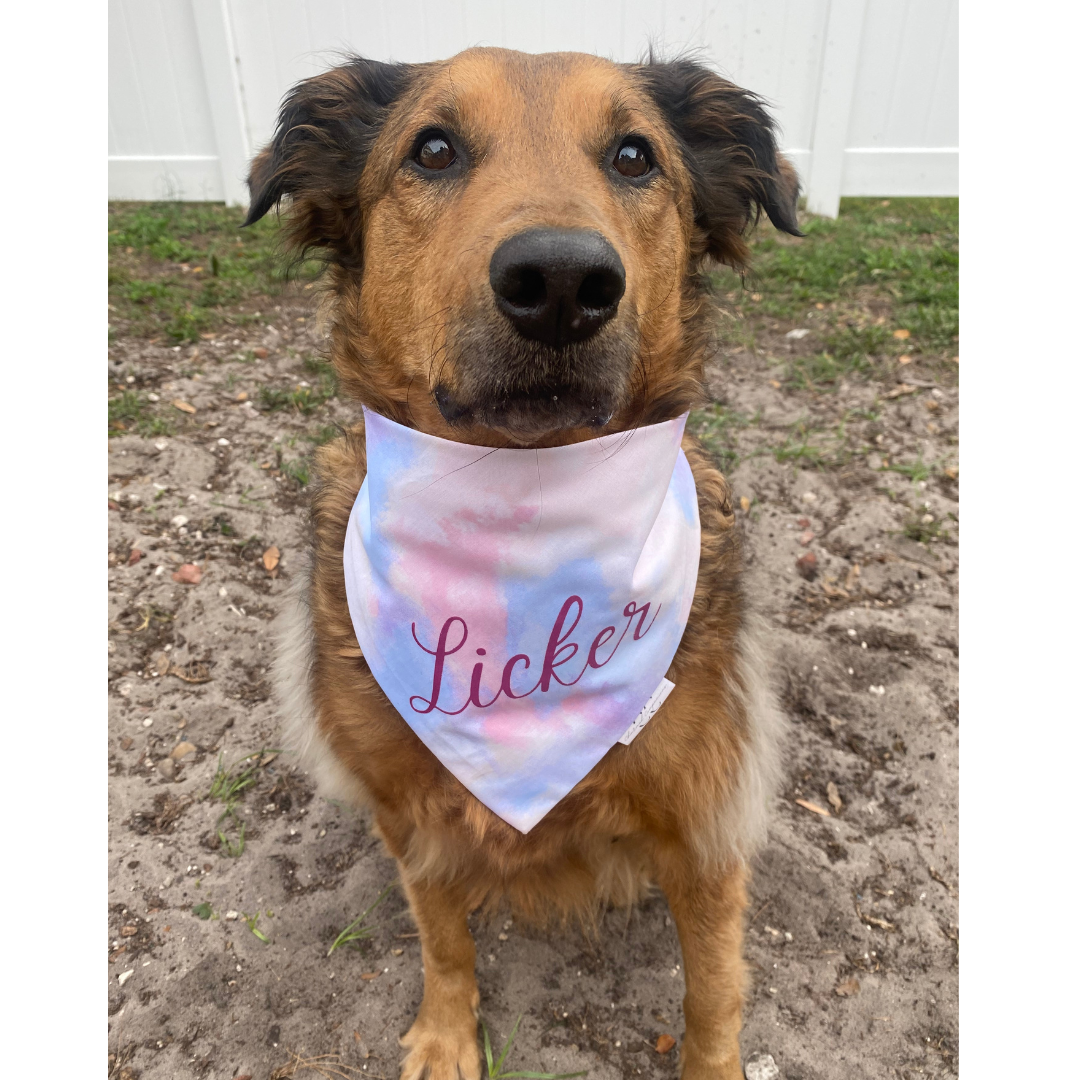 Licker Swiftie Themed Dog Bandana