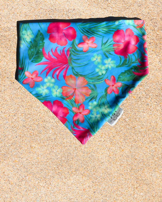 Hula Hound Scrunchie Dog Swimdana