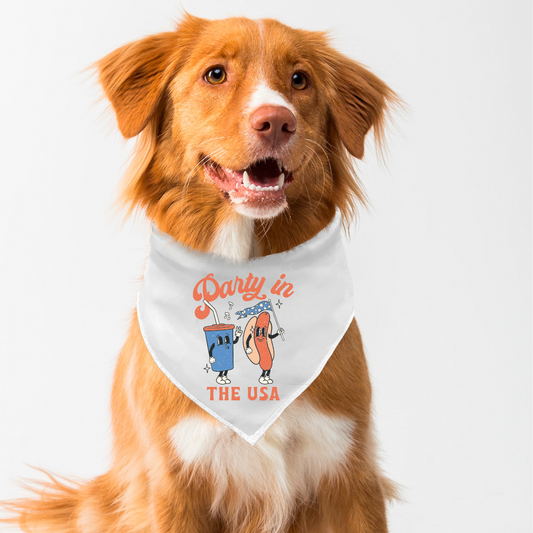 Party in the USA Dog Bandana