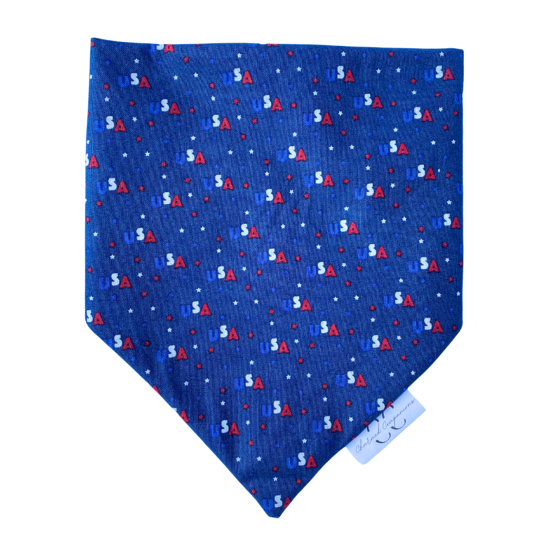 American Paws Reversible Dog Bandana