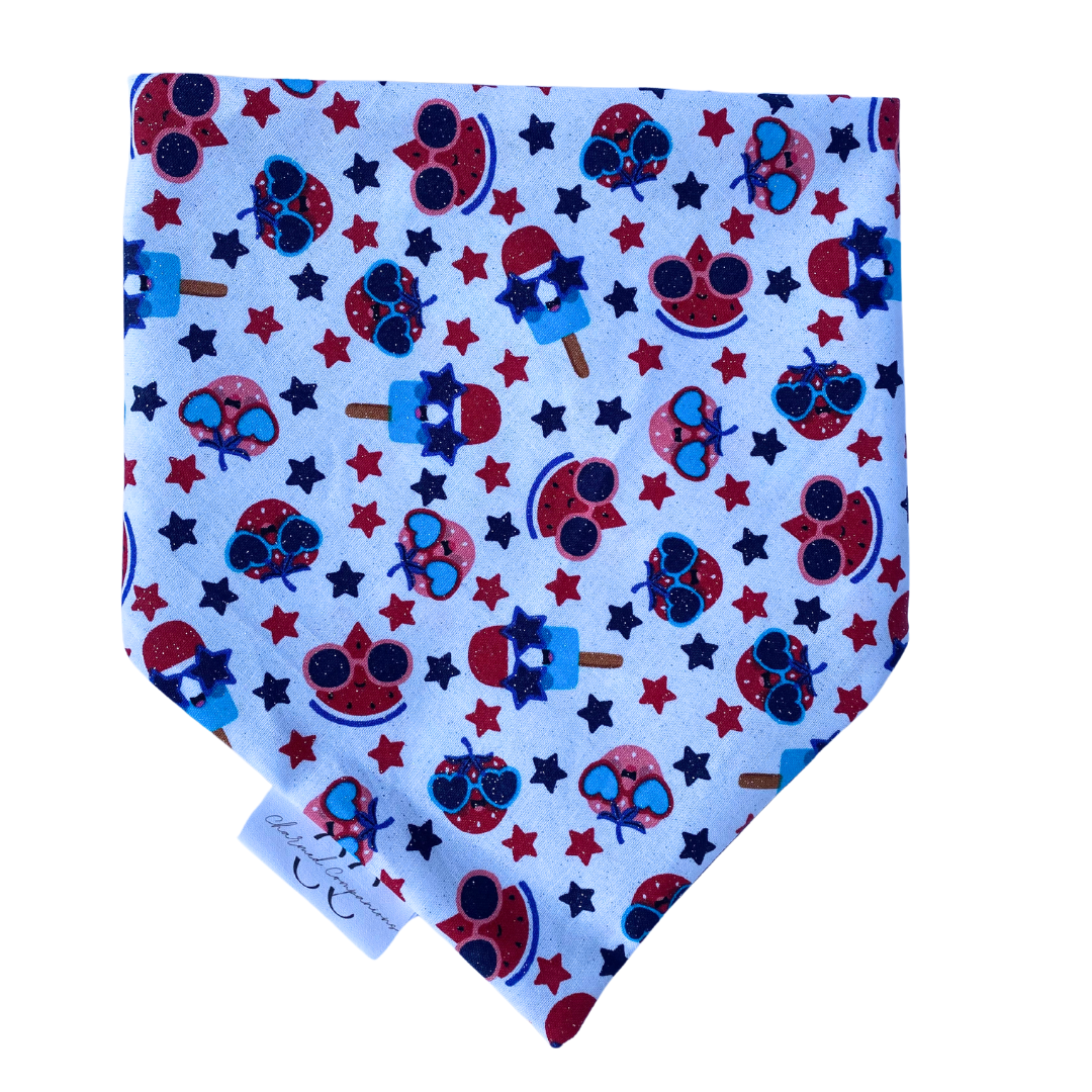 Rocket Pop Reversible Dog Bandana