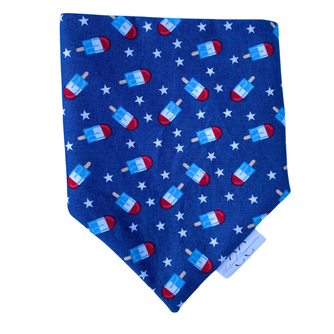 Rocket Pop Reversible Dog Bandana