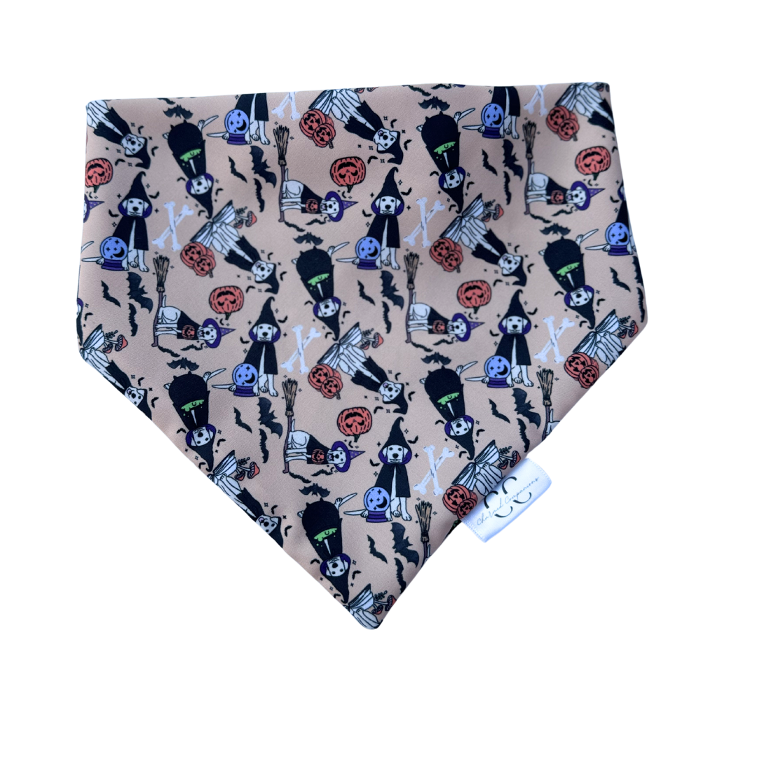 Witchy Dog Scrunchie Dog Bandana