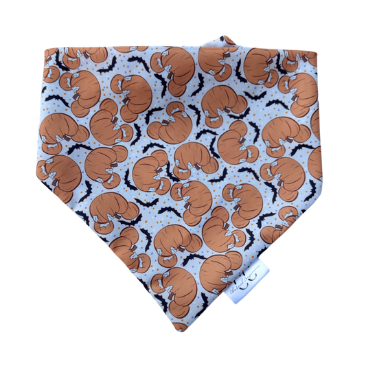 Batty Pumpkin Ears Scrunchie Dog Bandana