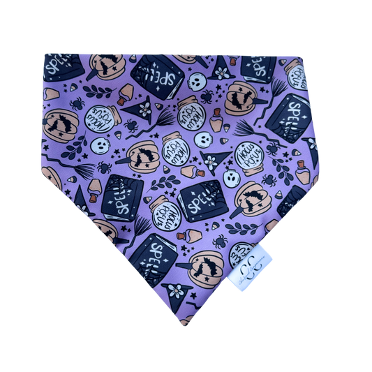 Hocus Pocus Scrunchie Dog Bandana