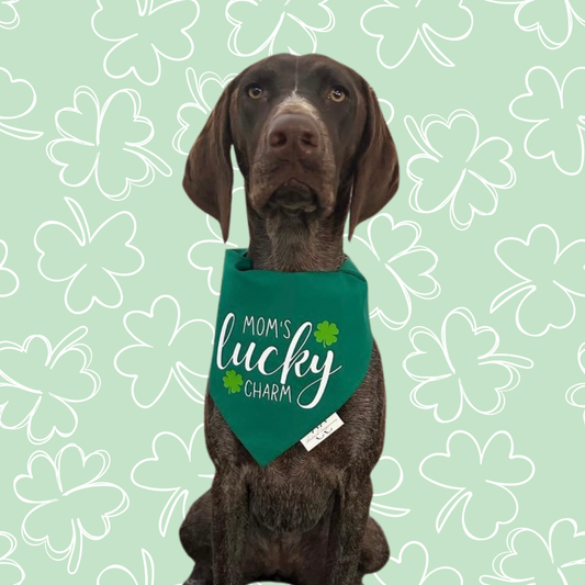 Mom's/Dad's Lucky Charm St. Patrick's Day Dog Bandana