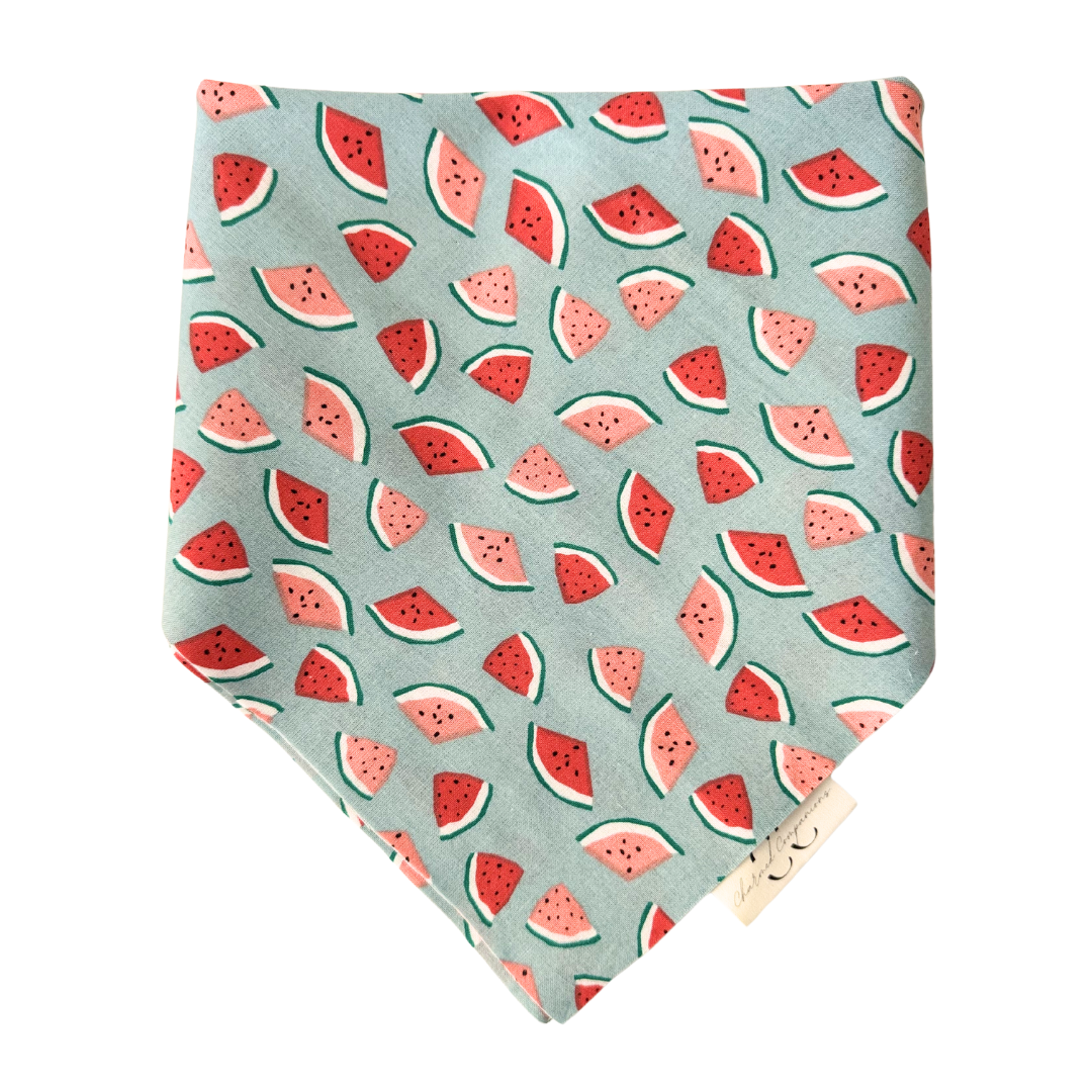 Watermelon Scrunchie Dog Bandana