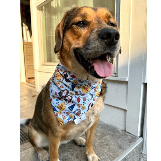 Gilmore Girls Scrunchie Dog Bandana