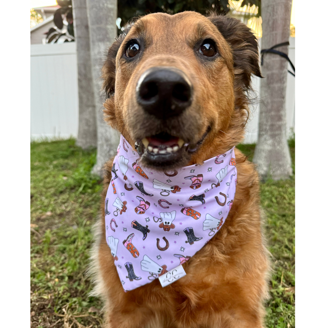 Purple Cowgirl Scrunchie Dog Bandana