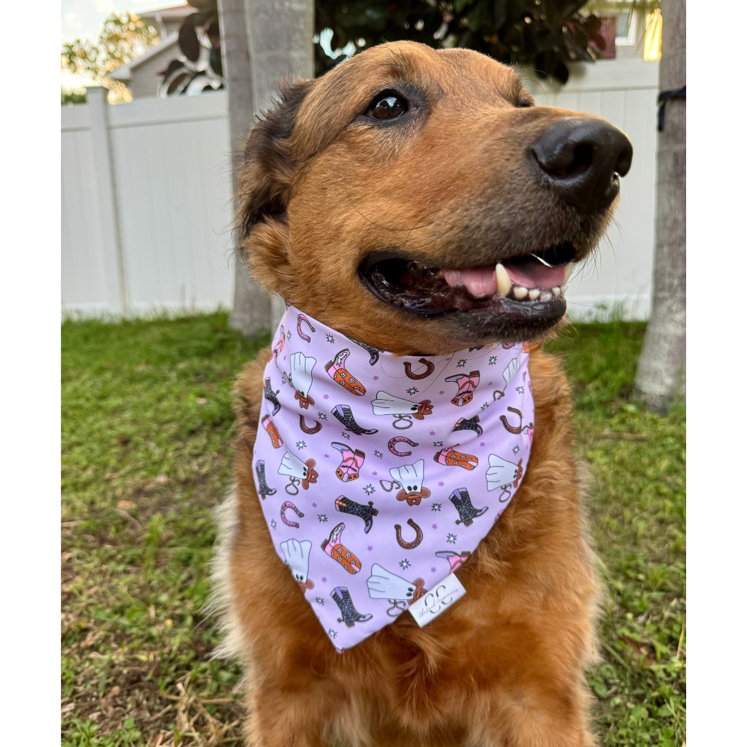 Purple Cowgirl Scrunchie Dog Bandana