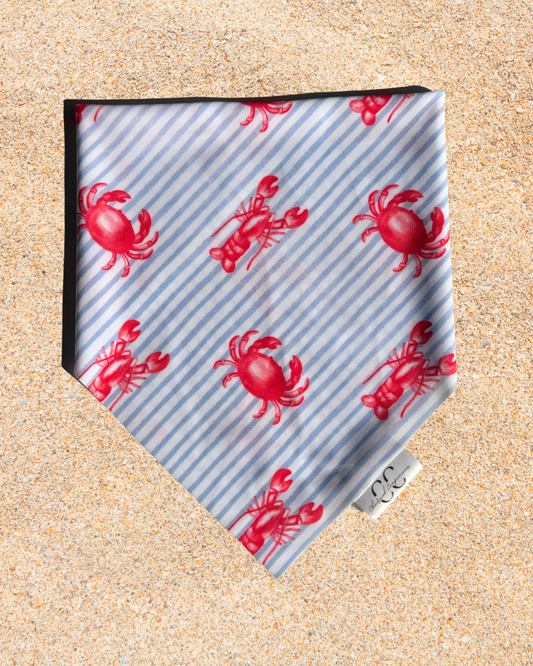 East Coast Summer Scrunchie Dog Swimdana