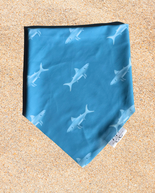 Shark Bite Scrunchie Dog Swimdana